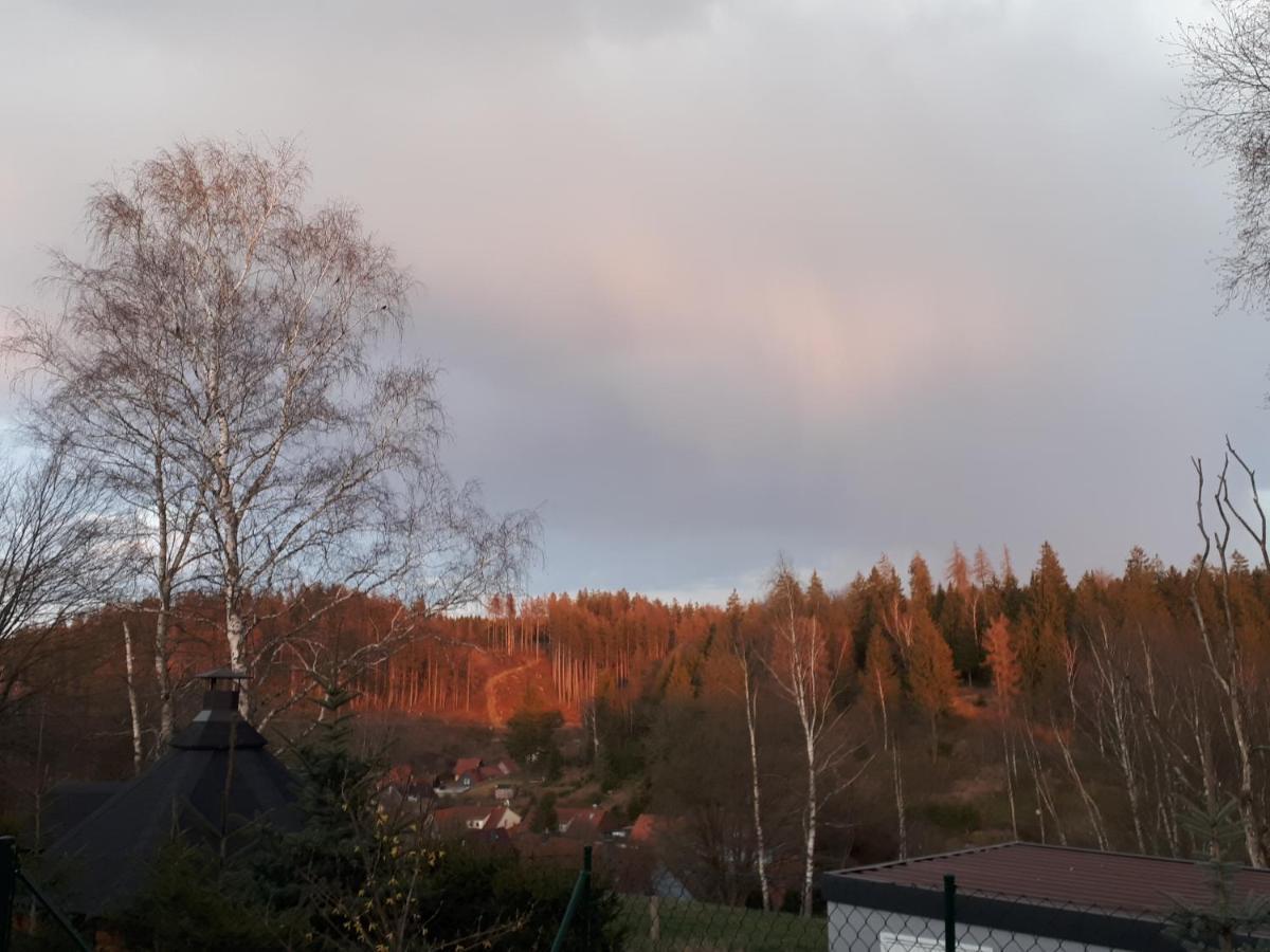 Behagliches Ferienhaus Zaunkoenig -Mit Kamin Und Sauna Tanne Exteriör bild